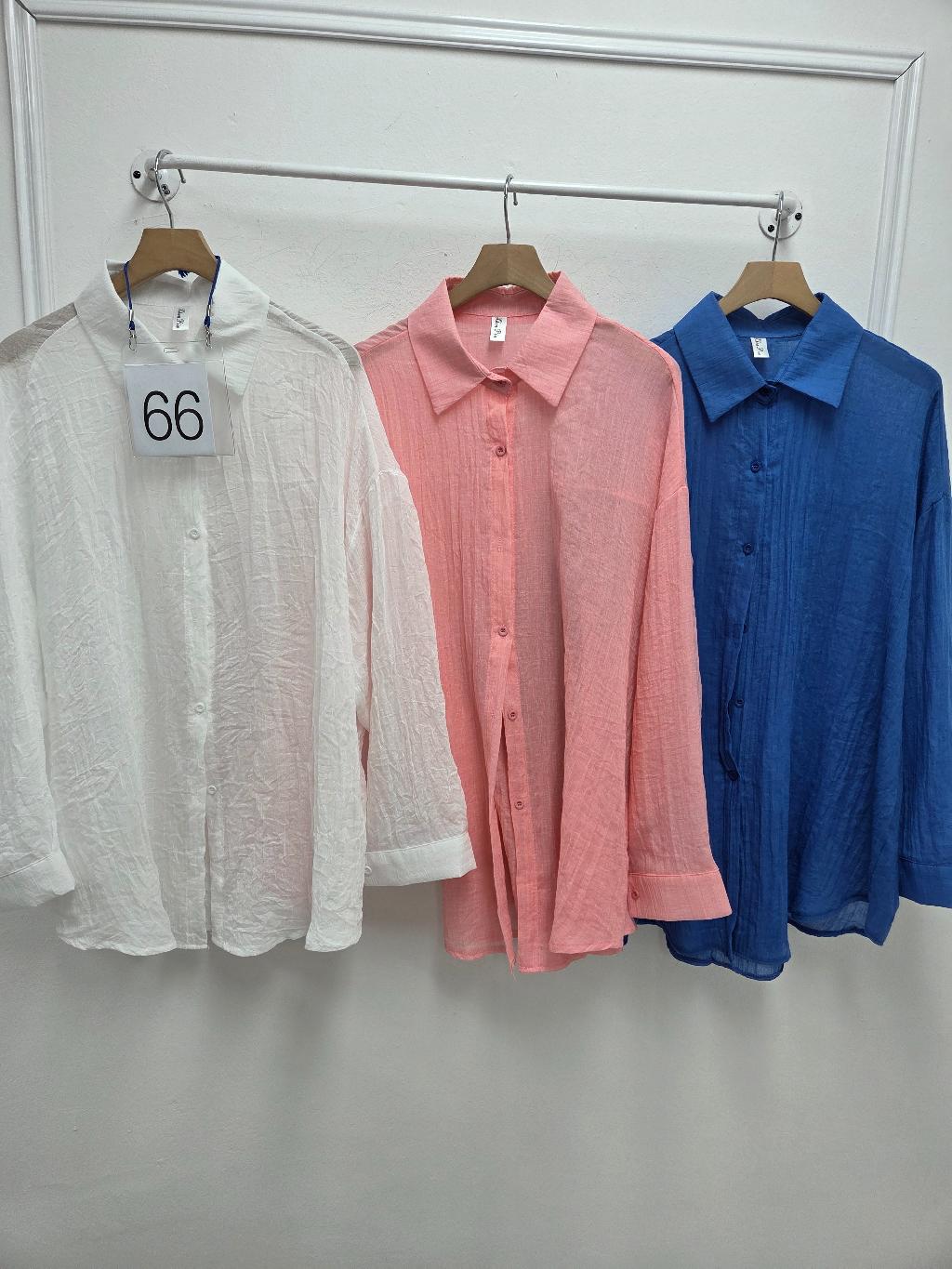 66번